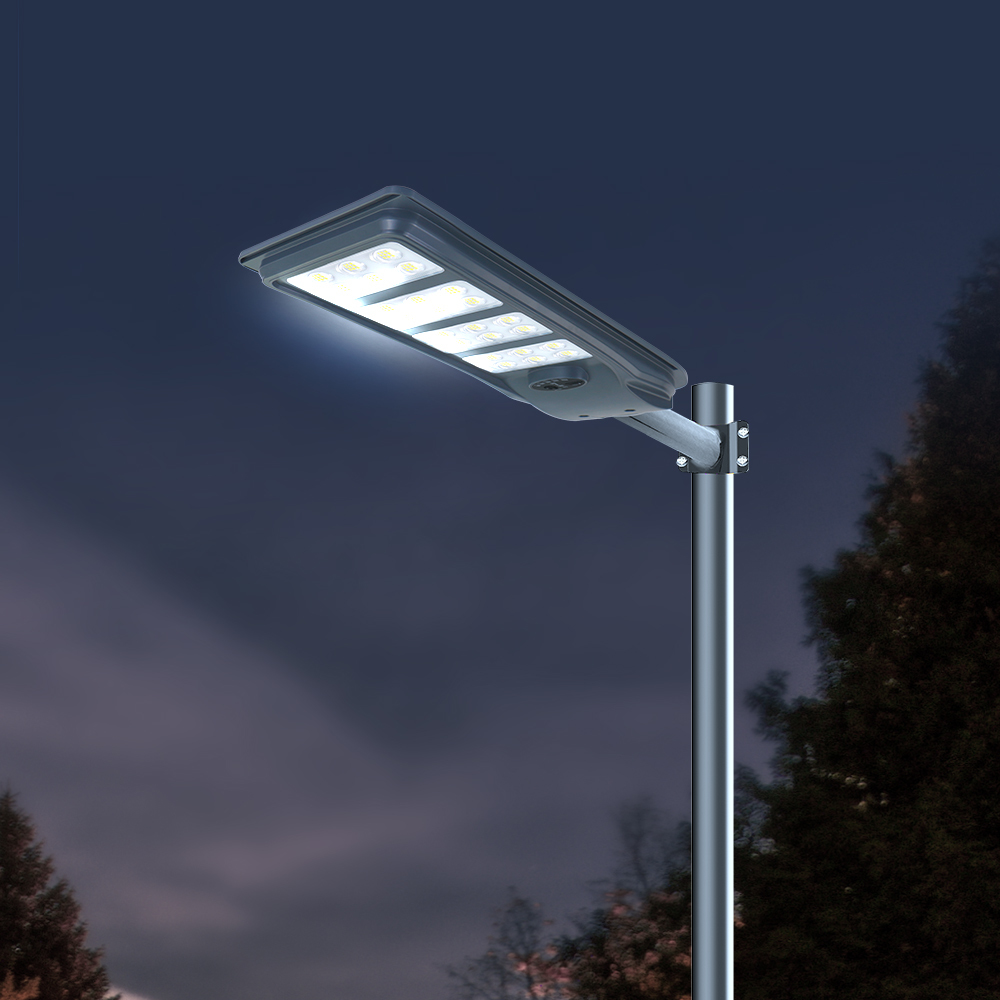TR-ES02 High Lumen Brightness All In One Solar LED Street Light with Type C