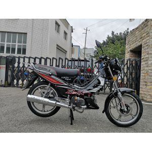 2019 Factory Direct Sale High Quality Classic cub 110cc