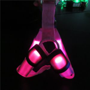 LED dog leash, LED pet products