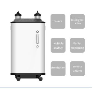 Remote Control Intelligent Alarm 10 Liter Oxygen Concentrator