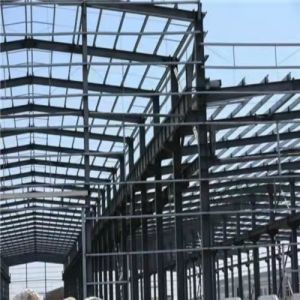 Quality ODM Waterproof Agricultural Industrial Steel Buildings Easily Assemble for sale