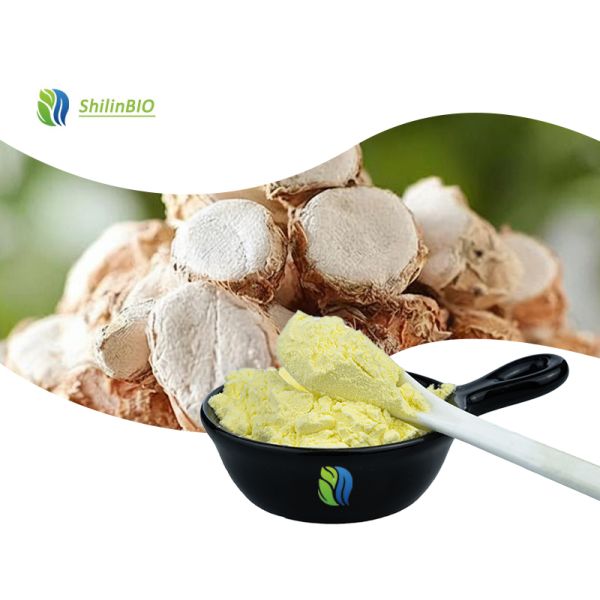 Buy Kaempferia Extract kaempferol at wholesale prices