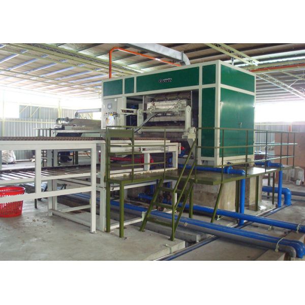 Automatic Pulp Moulding Egg Tray Machine with 6 Layer Drying Lines 3000pcs Per