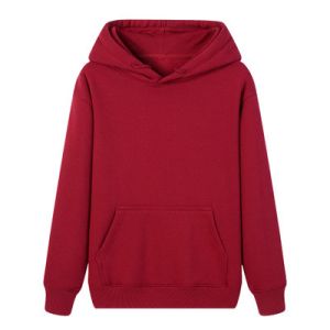 Wholesale Custumized Embroidered Custom Hoodies plain thick pullover hoodie
