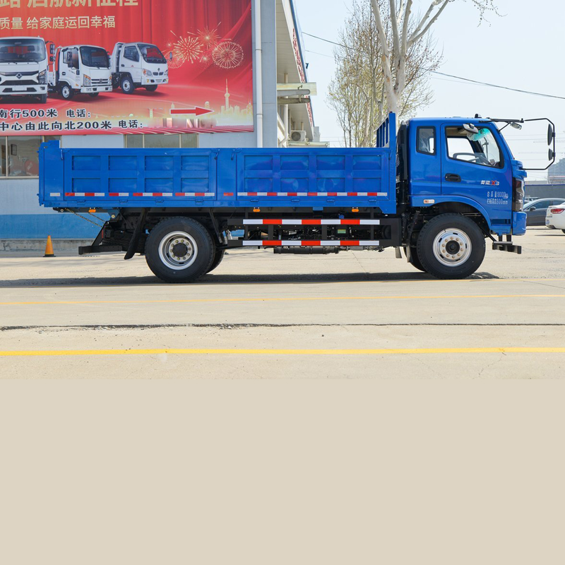 WAW 4X2 Dump Truck