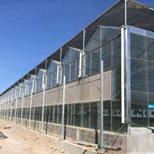 Advanced Hydroponic System for Growing Vegetables in Agricultural Greenhouses