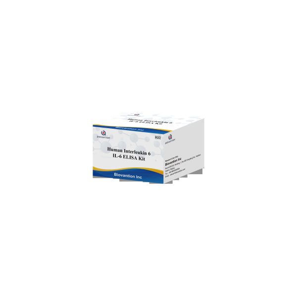 Buy IL-6 Interleukin 6 Elisa Test Kit With 2-3 Hours Assay Time Biovantion Serum / Plasma Format 18 Months Shelf Life at wholesale prices