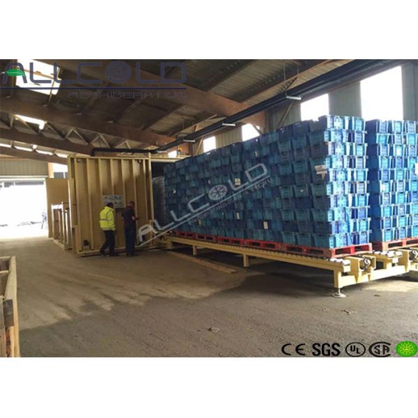 Buy 14 Pallets Iceburg Lettuce Vacuum Chiller / Vacuum Cooling Machine at wholesale prices