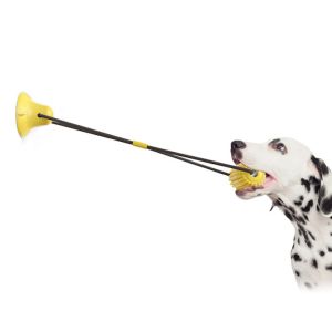 Puppy Hard Rubber Chew Bone Toys For Aggressive Chewers