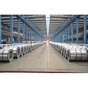 1200mm width Hot dipped Galvanized Steel Coil