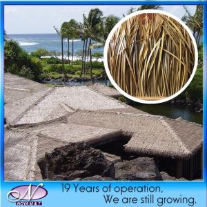 China Fireproof PVC Synthetic Simulation Thatch Roof Tiles for Garden Decorative Customized on sale China Fireproof PVC Synthetic Simulation Thatch Roof Tiles for Garden Decorative Customized on sale