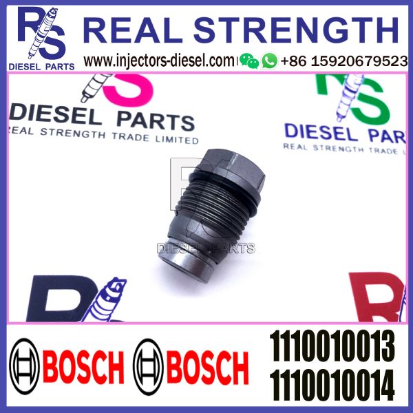 BOSCH Control Valve relief valve 1110010013 1110010014 1110010026 1110010027 1110010017 Applicable to Diesel Engine