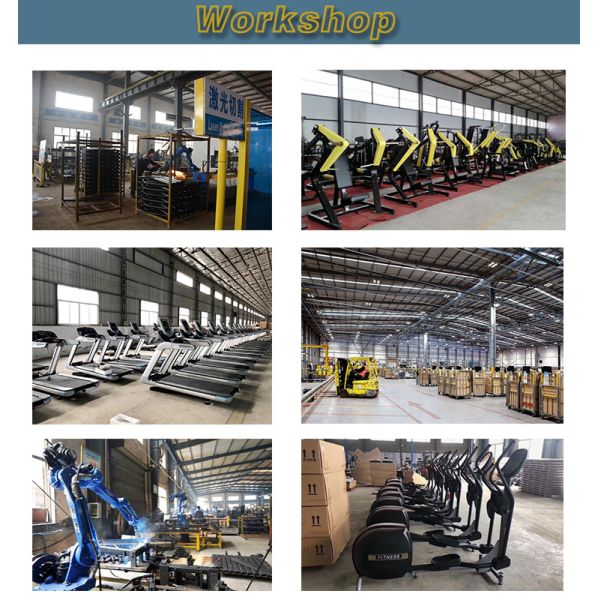 OEM Back Extension Gym Physical Workout Equipments