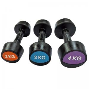 China Free Weights Fitness Workout Rubber Coated Round Dumbbells on sale