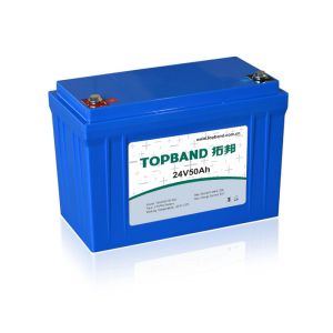 Customized UPS Rechargeable Batteries Eco - Friendly TB2450F-M110A