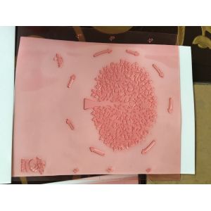 Photopolymer High Speed Flexo Printing Plate 1.7mm Nylon Resin