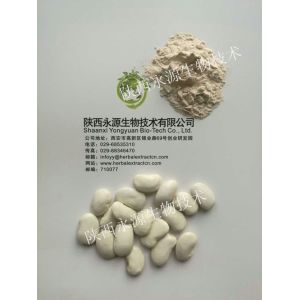 Quality White Kidney Bean Extract 3000 units/g, 10:1，phaseolin1-3%, Chinese manufacturer supply natural Delaying aging ingre for sale