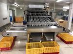 3P Multiscene Shrimp Grading Machine Automatic Multi Function