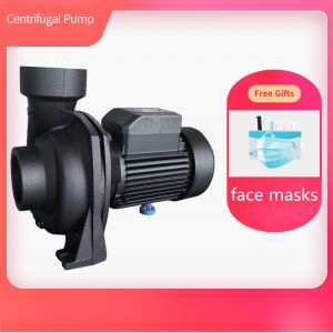 Quality Gardening Irrigation Centrifugal Water Pump With Free Gifts Face Masks for sale