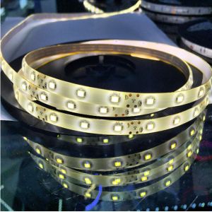 110v led strip lights white 6500K and warm white 3000K color changing IP65