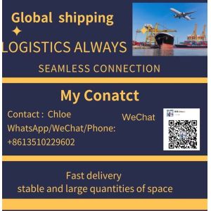 Shenzhen to Cyprus Sea Freight A-Class Shipping Forwarder with Inspection and