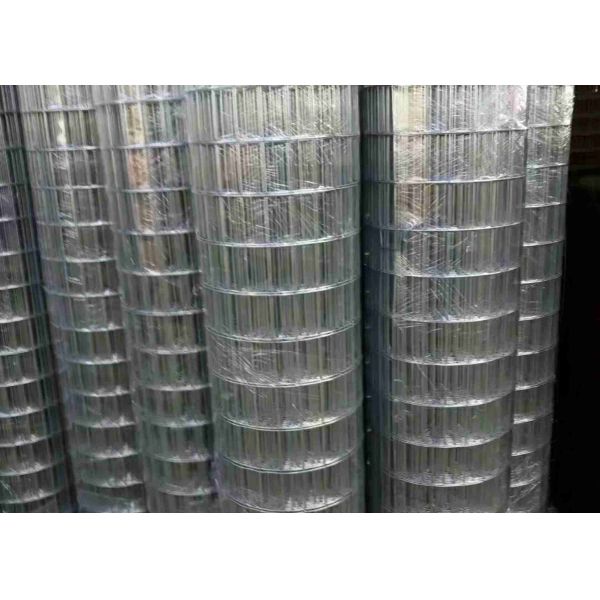 Buy Electric Galvanized 100 X 50 Welded Mesh Bright Color And Smooth Surface at wholesale prices