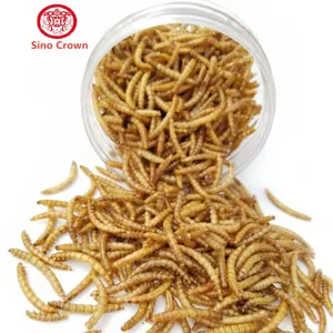 High Nutritional Value Mealworm Oil for Storage in Cool and Dry Place with