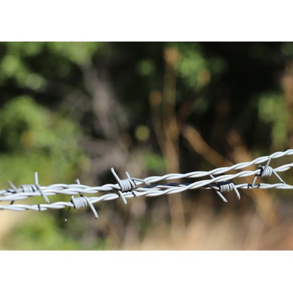 Garden Anti-Theft Double Strand Reverse Twist Hot Dipped Galvanized Barbed Wire Roll