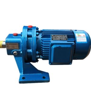 Planetary Cyclo Speed Reducer Gearbox Pinwheel With Electric Motor