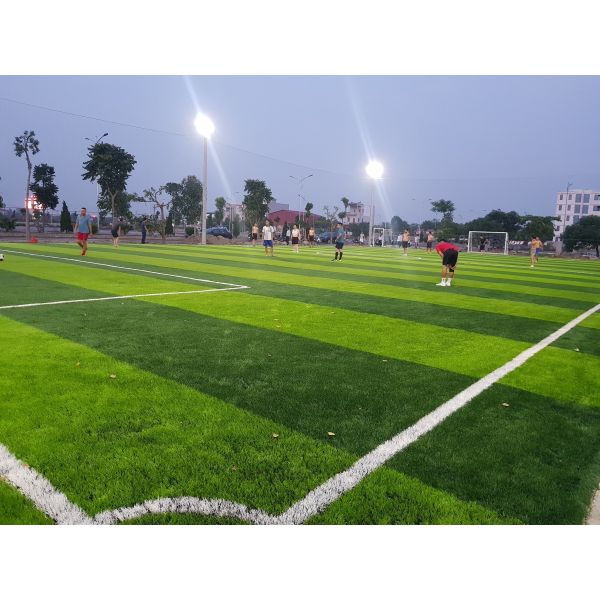 Buy AVG 60MM Artificial Football Turf Artificial Carpet Artificial Grass at wholesale prices