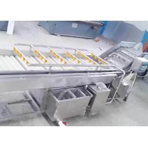 Fruit And Vegetable Washing Machine With Water Circulating System