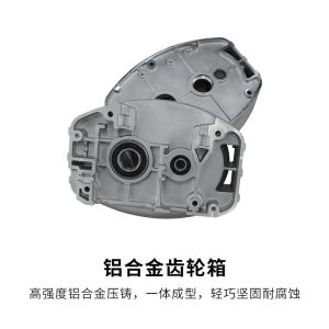 JTHH Electric Chain Hoist High-Power Motor and Modularized Electronic Control