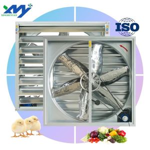 Big air Volume 50 Inch Low Price Greenhouse Temperature Control Exhaust Fan