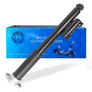 2133202200 2133200302 2133205500 2133204203 Mercedes-Benz W213 W257 Rear Air