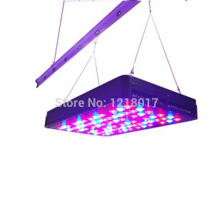 Quality Best Full Spectrum LED Grow Lights 5w led grow lights led grow light best for flowering for sale