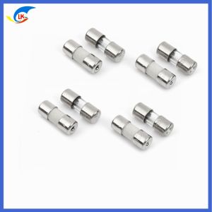 3*10 Glass Miniature Cartridge Fuse 3A / 5A / 8A 125V Small Fuse