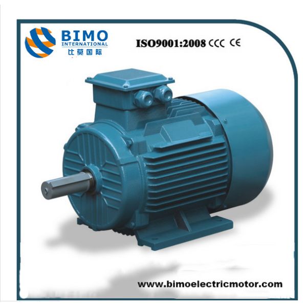 Buy Ie2 Three-Phase Electrical Motor (TEFC, IP55) at wholesale prices