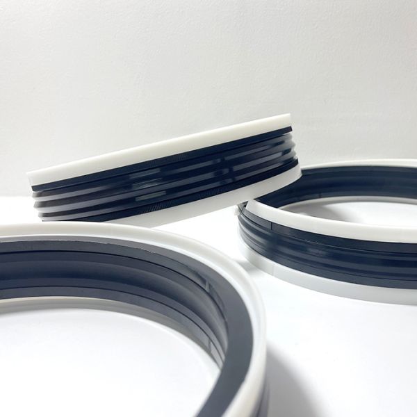 TPM Oil Seal product image