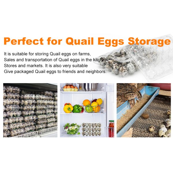 Quail eggs storage