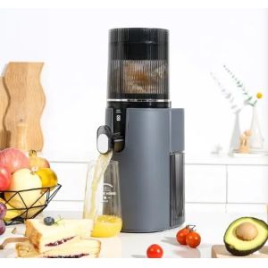 350W Power Supply Household Multifunctional Slow Juicer Electric Juicer