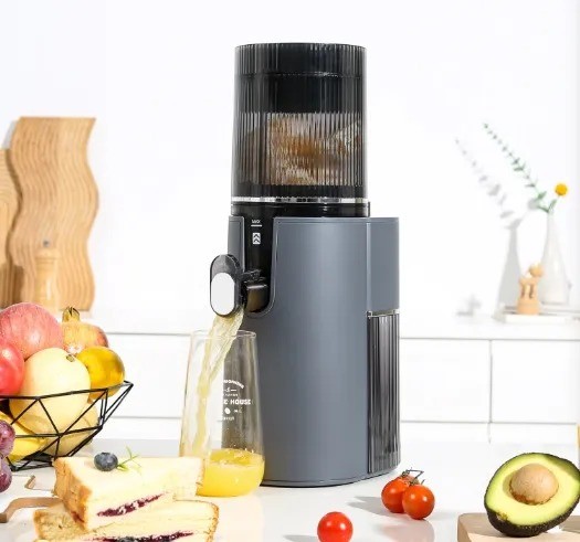 350W Power Supply Household Multifunctional Slow Juicer Electric Juicer