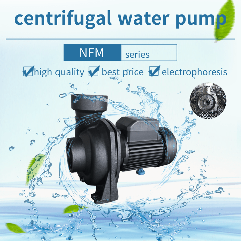 domestic surface pumps