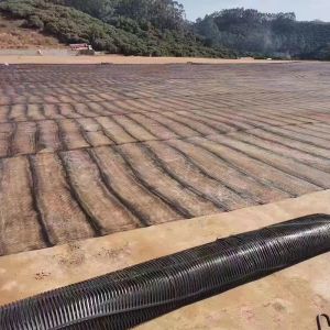 Quality Pp Uniaxial Plastic Geogrid Pe One-Way Geogrid Uniaxial Polyester Geogrid Gravle Grid Ground for sale