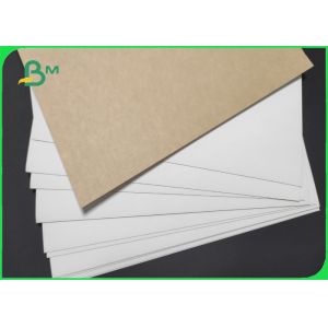 100% compostable Single Side White Coated Food Paper Board 325gsm