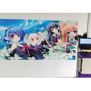 1920X1080 ROHS Shervin 3D Wall Inkjet Printer