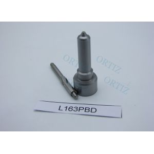 China Rex ORTIZ JMC Transit 2.8L Van L163PBD Delphi Fuel Injection Nozzle assembly L163 PBA for common rail injectors on sale