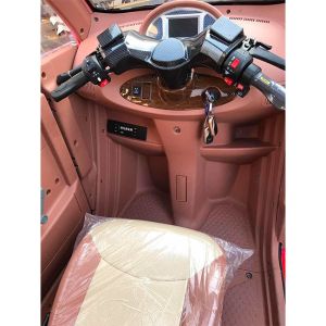 Hand Steering 45Ah 3 Wheel Electric Tricycle