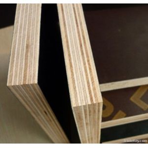 Quality constrution plywood with combi core for sale