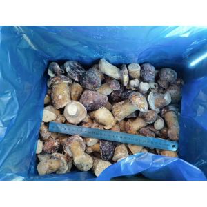 2025 New Crop high quality frozen Boletus Edulis Mushrooms