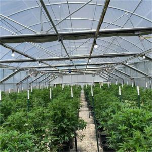 Automatic Ventilation System Blackout Greenhouse With LED Light Deprivation